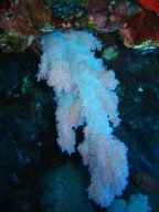marsa_alam_200510 78